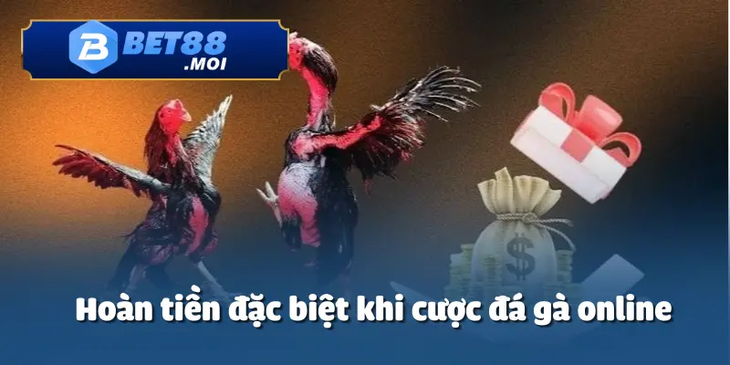 Chương trình ưu đãi hoàn tiền thua cược hấp dẫn khi chơi đá gà