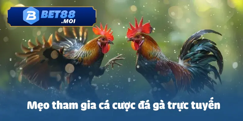 Cách Cá Cược Đá Gà Trực Tuyến Bet88 - Luật Chơi Hấp Dẫn 4 Cách đá gà trực tuyến từ các người chơi có kinh nghiệm