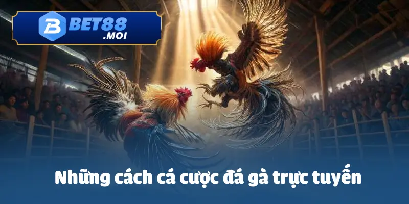 Cách Cá Cược Đá Gà Trực Tuyến Bet88 - Luật Chơi Hấp Dẫn 3 Một số cách các cược đá gà trực tuyến