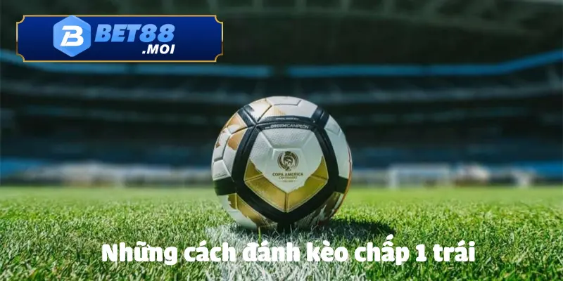 Cách Đánh Kèo Chấp 1 Trái BET88 Chuẩn Xác Từ Chuyên Gia 4 Một số cách đánh kèo chấp 1 trái thông dụng nhất của các cao thủ