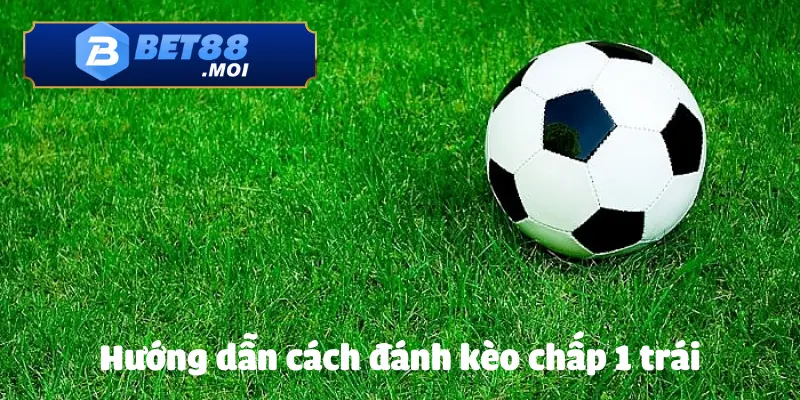 Cách Đánh Kèo Chấp 1 Trái BET88 Chuẩn Xác Từ Chuyên Gia 3 Cách đọc kèo chấp 1 trái cụ thể nhất